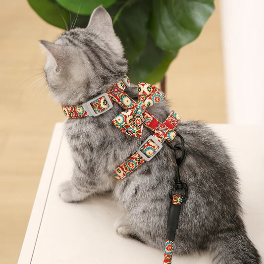 Ensemble Harnais et Laisse Ajustables pour Chat - Idéal pour la Promenade et la Course