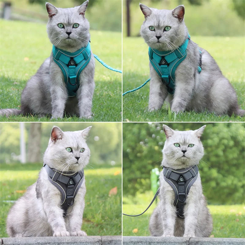 Ensemble de harnais et laisse réfléchissants pour chat, avec tissu respirant.